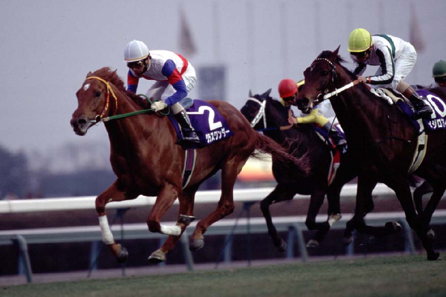 JRA グラス 2001 Classic Winnersの通販 | PASAHAN
