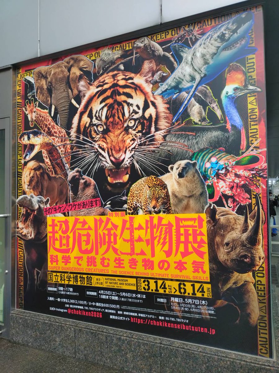 けいてぃー@大爆ﾀﾋ王 tweet media