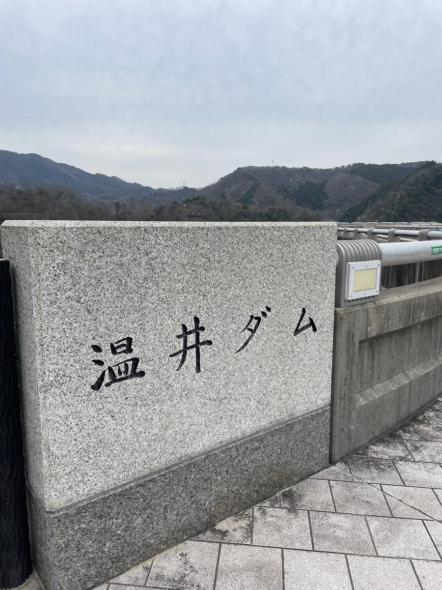松葉鯉 tweet media