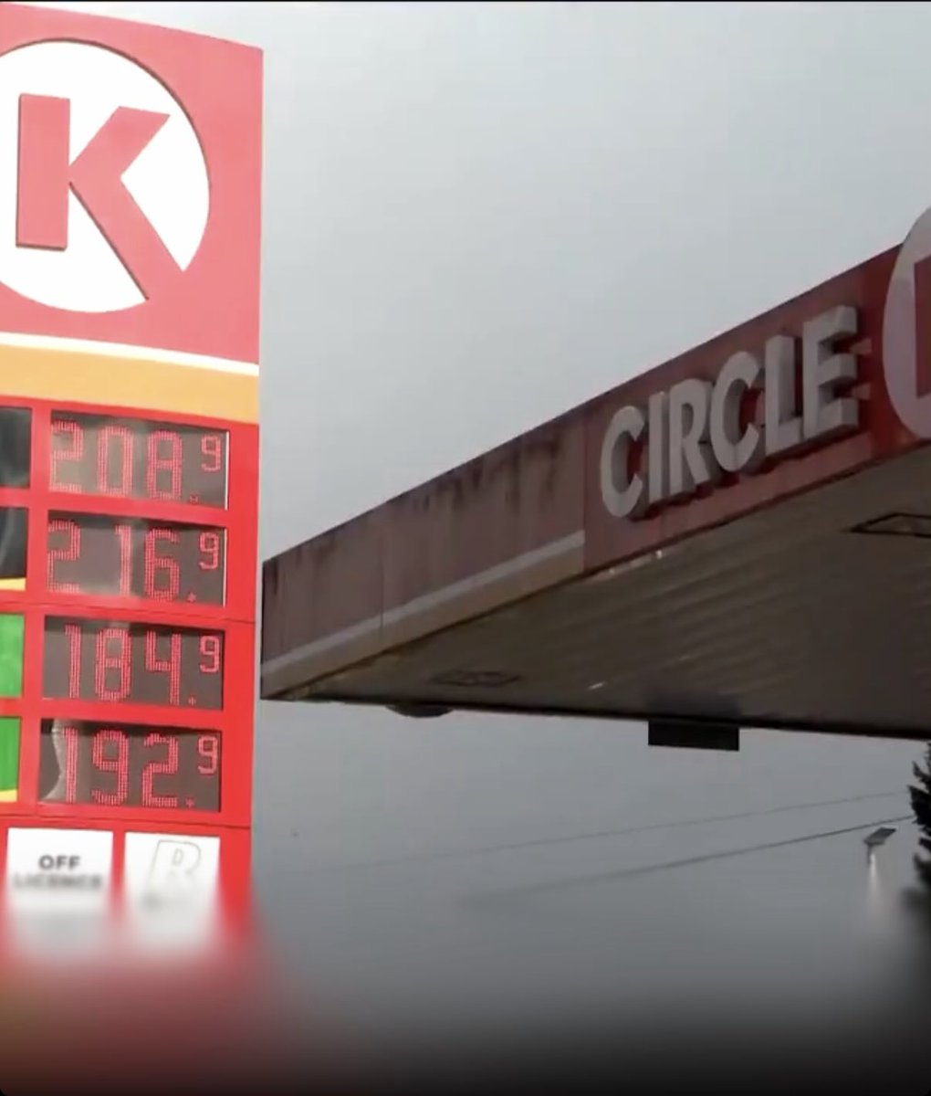 The Nacho Man Andy Cabbage tweet media