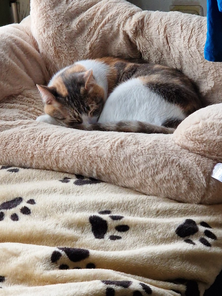 Tom van Dauven tweet media