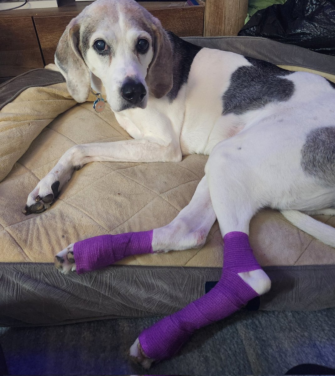 Matchu Smith tweet media