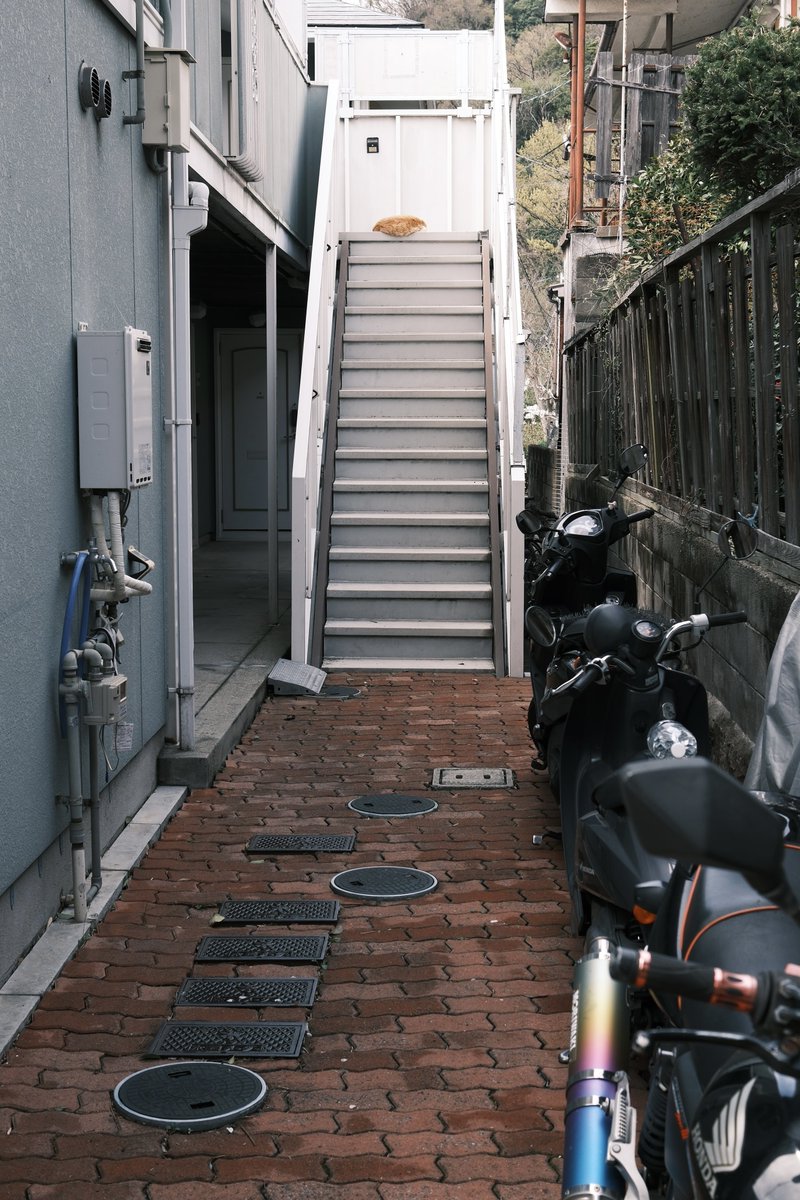 あのモフッてそうなものは一体…？