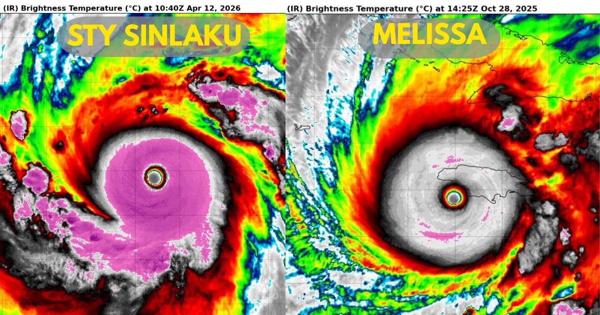 James Reynolds tweet media