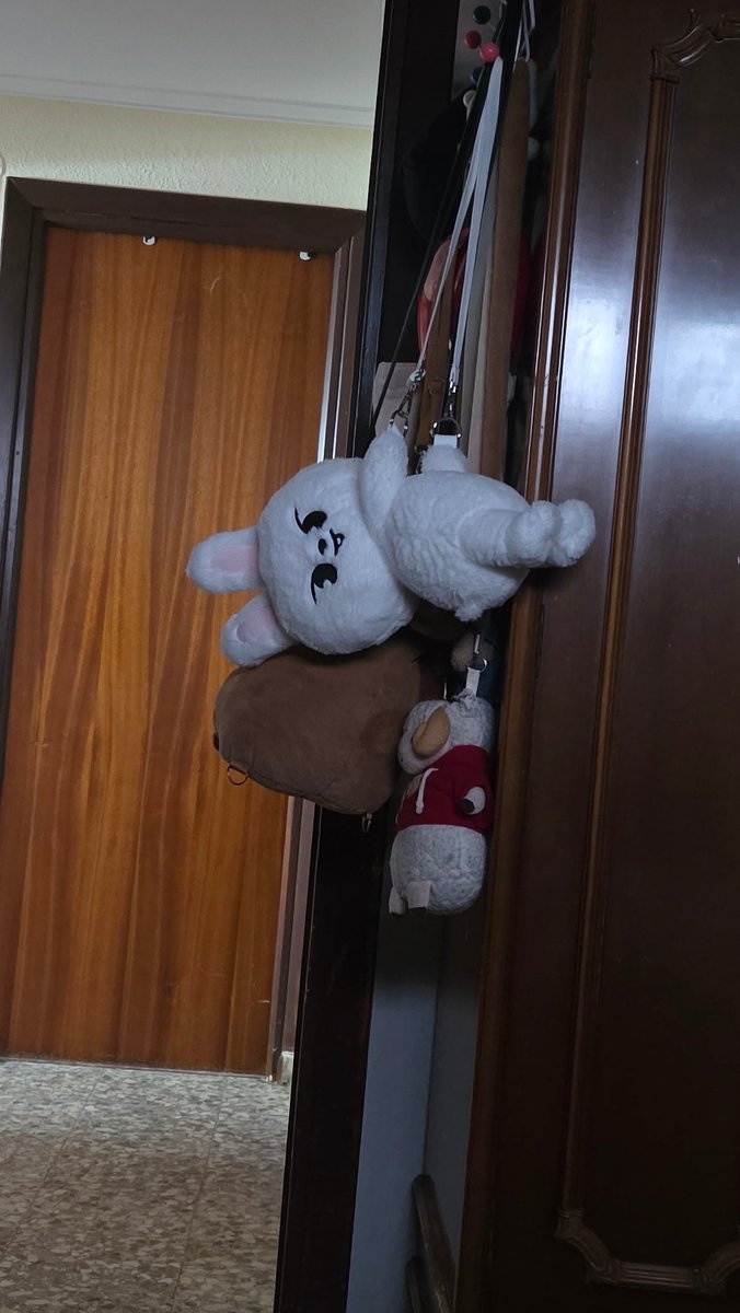 brun xiuyeol ◝‿◜ tweet media