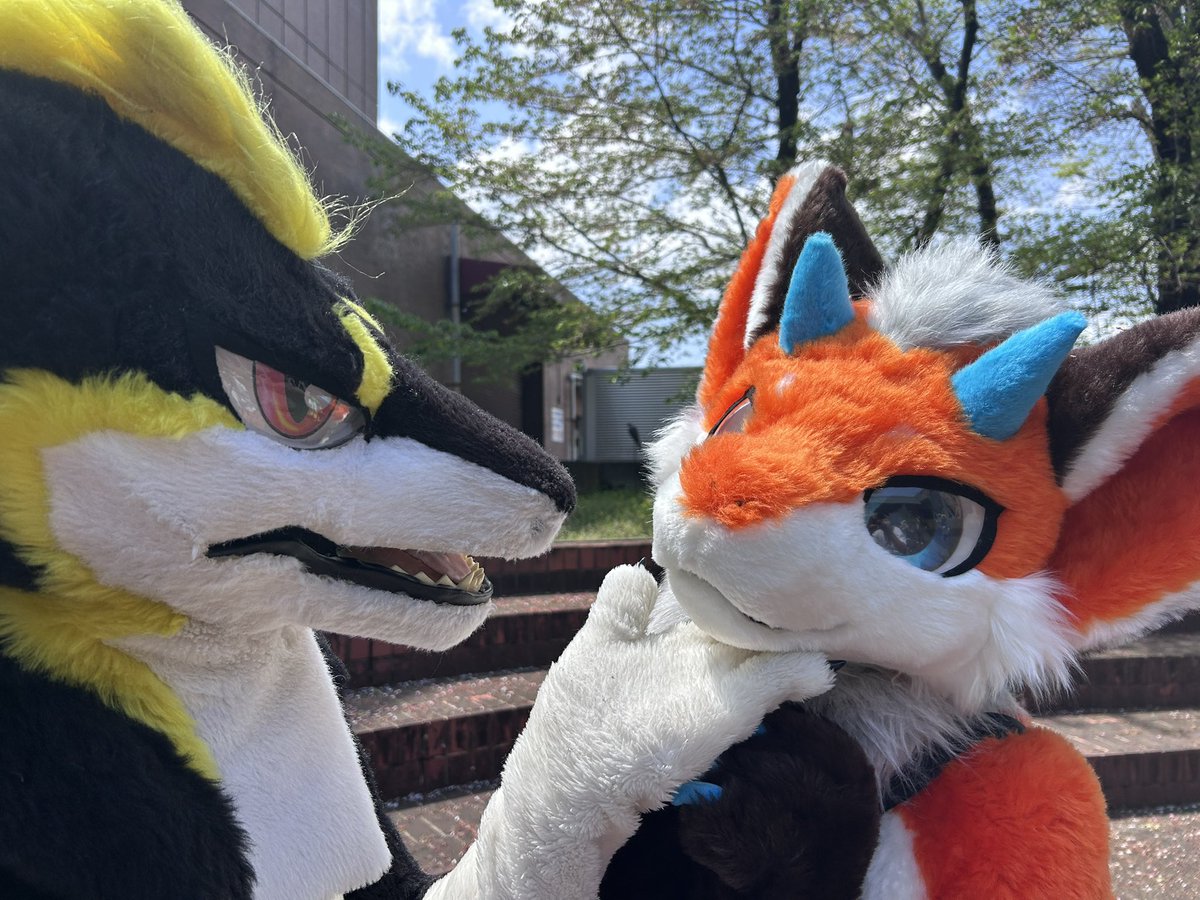 転職活動中の一七(かずな)次→offf tweet media