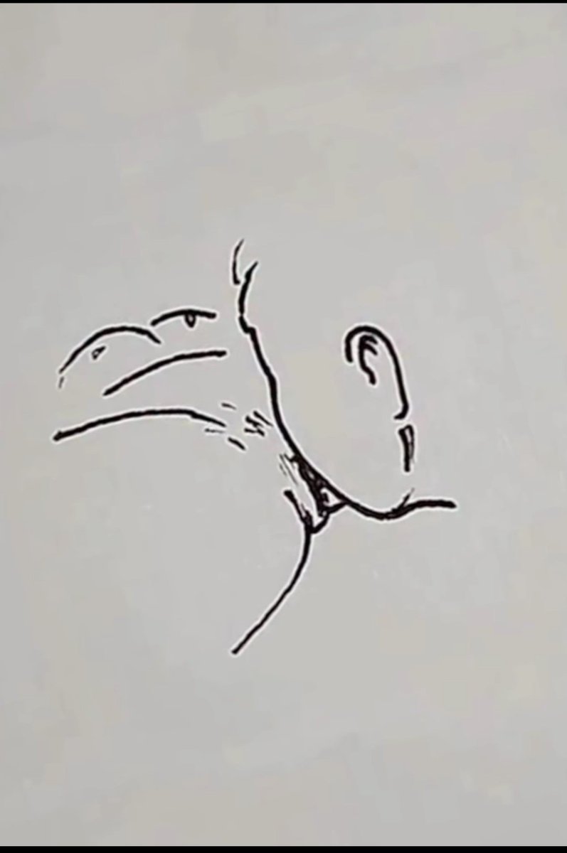 FACHAZOi🇪🇦 tweet media