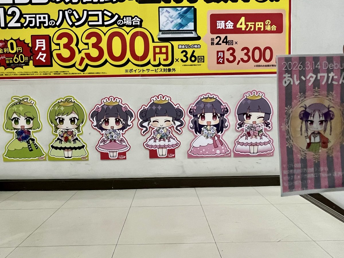 ビックカメラ池袋カメラ・パソコン館に にいがたたん！いっしょに