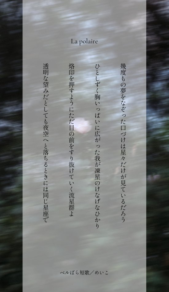 めいこ tweet media