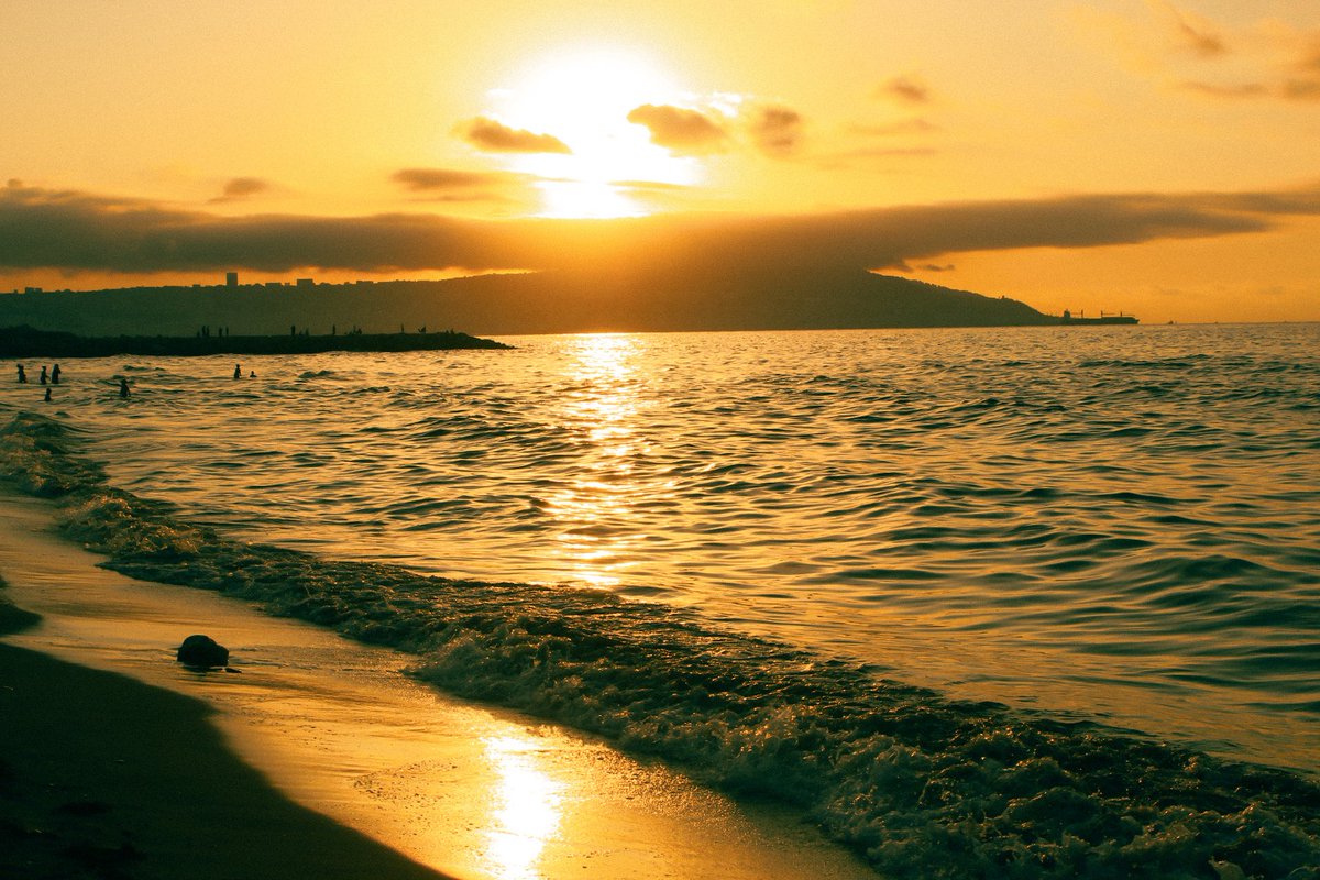 شـ𖤓ـس tweet media