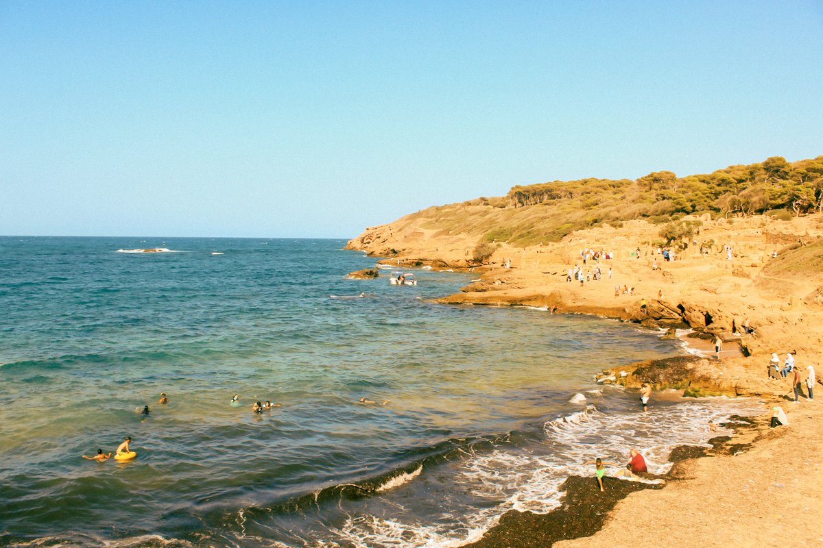 شـ𖤓ـس tweet media