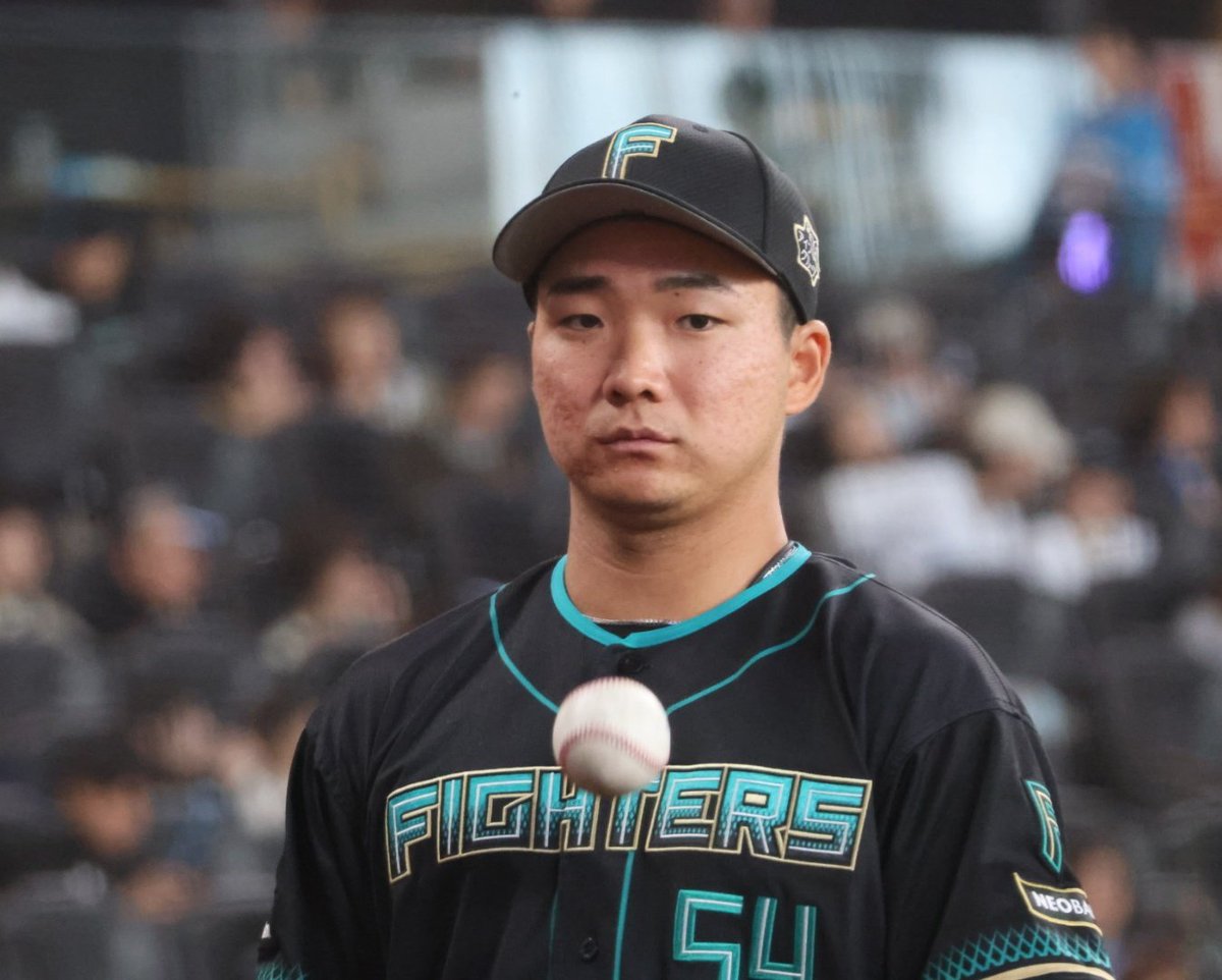 🐻ゆっき🐻 tweet media