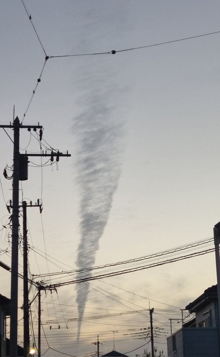 はぴこ🍔 tweet media