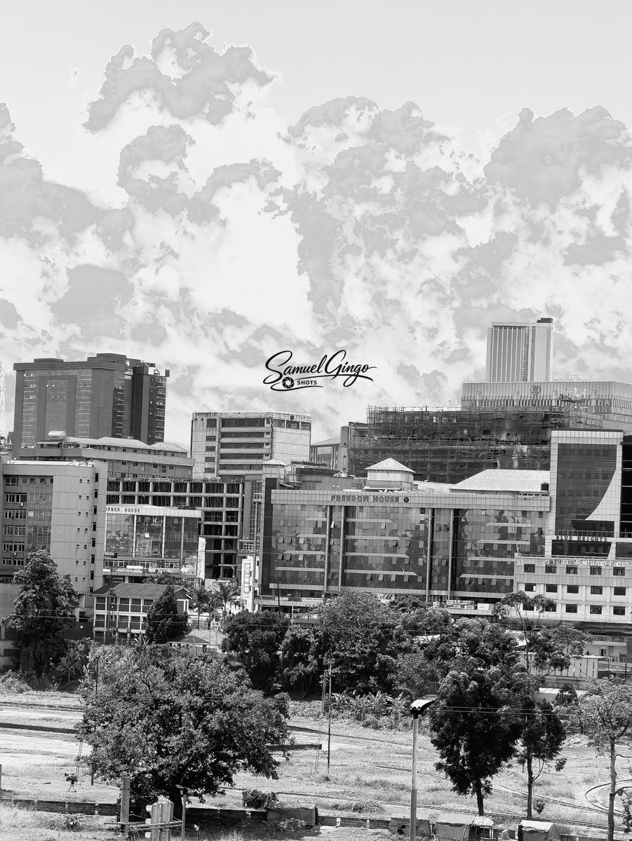 Samuel Gingo tweet media