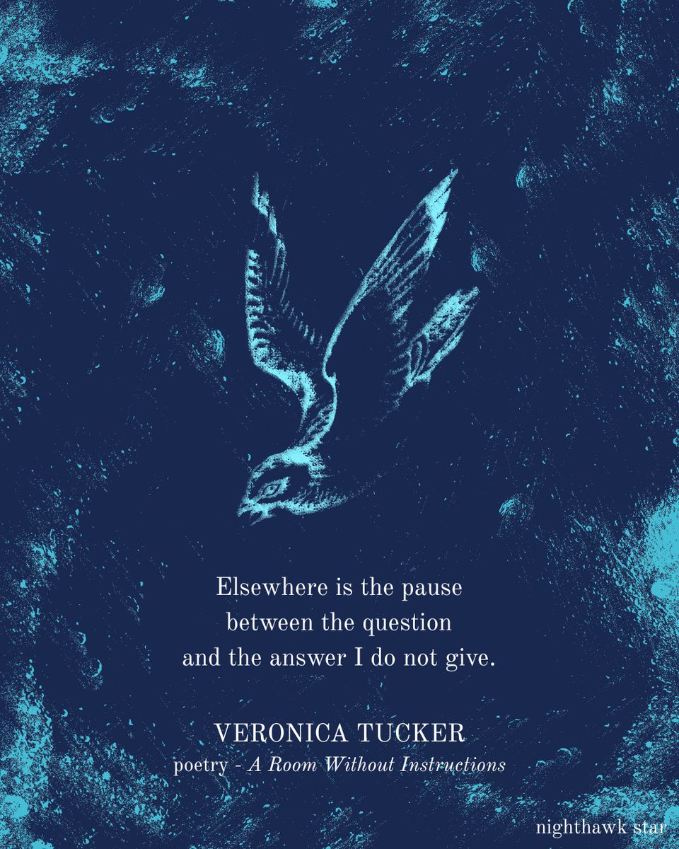 SNEAK PEEK: Victoria Tucker’s poem, ‘A Room Without Instructions’, will be published in the first issue of Nighthawk Star. Subscribe for free to our newsletter now (link in bio) to receive a digital copy of the magazine upon publication!

#literature #philosophy #fiction #litmag