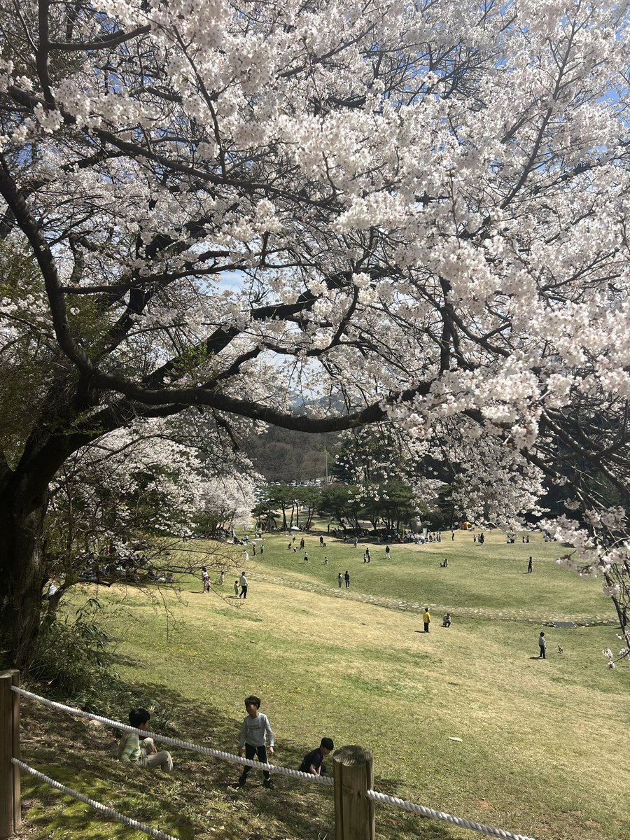 몽글몽글 tweet media