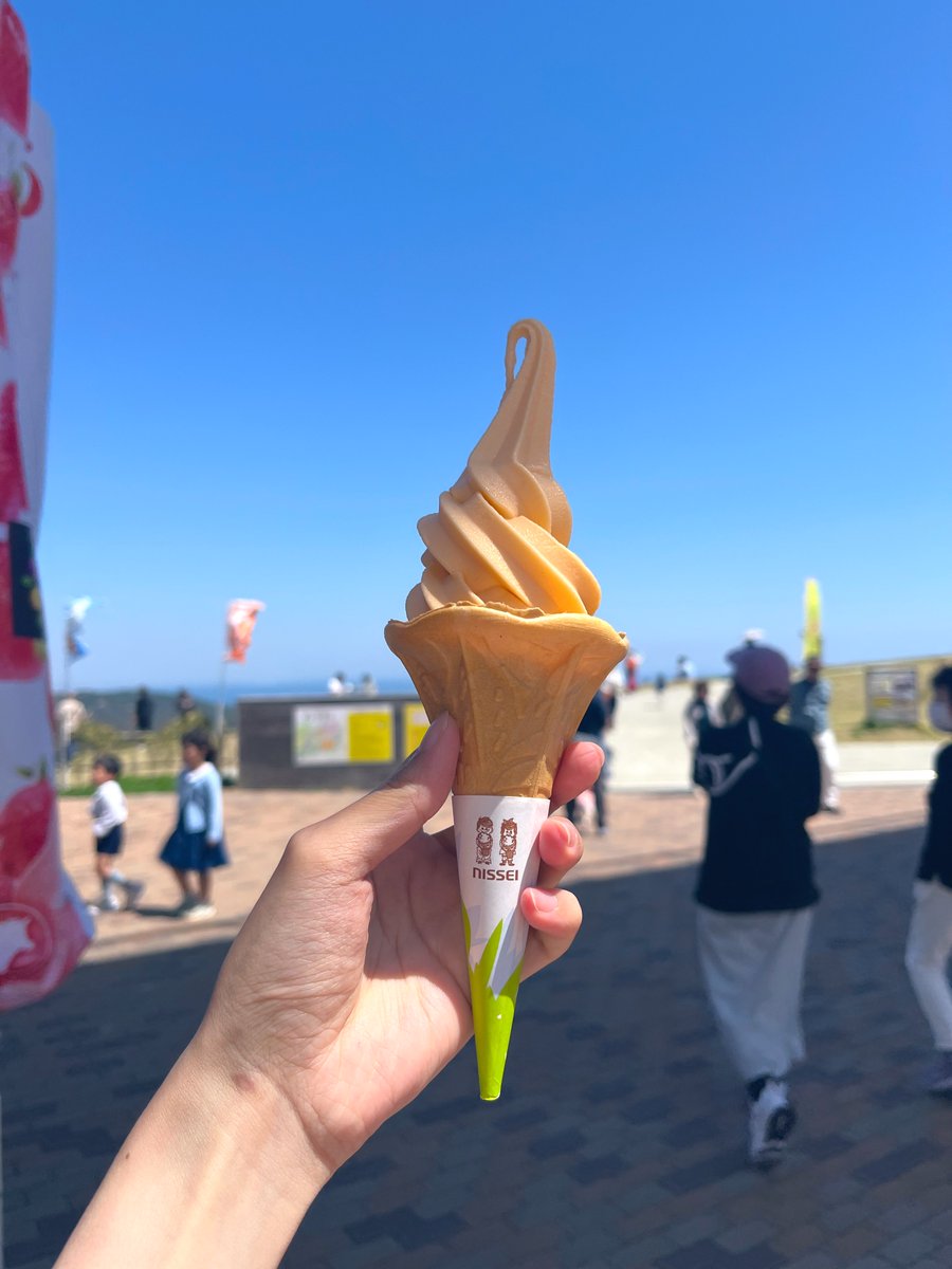 春の気候良すぎる🌼
花粉か黄砂もやばすぎる🤧