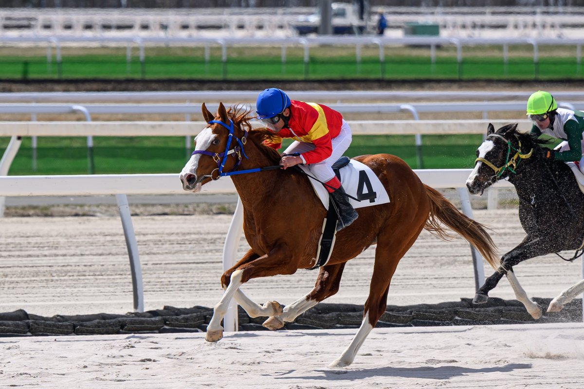 とむお tweet media