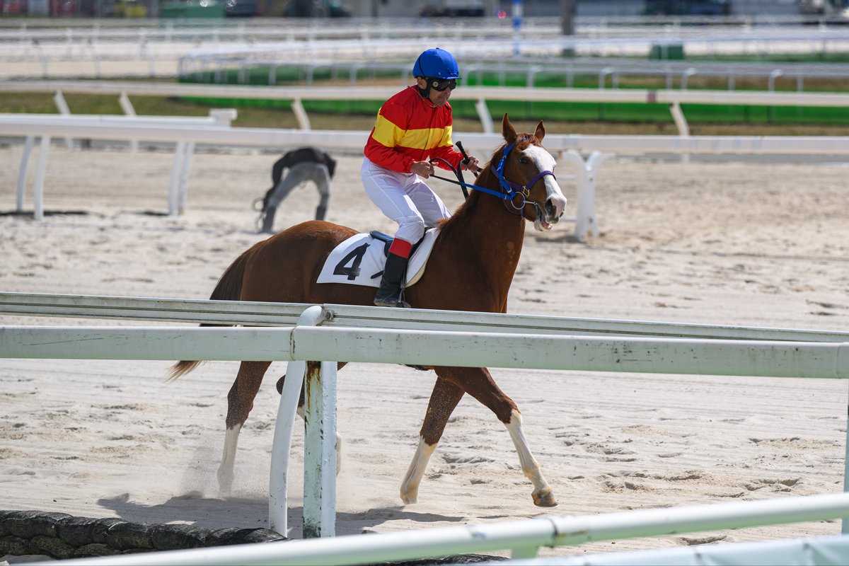 とむお tweet media