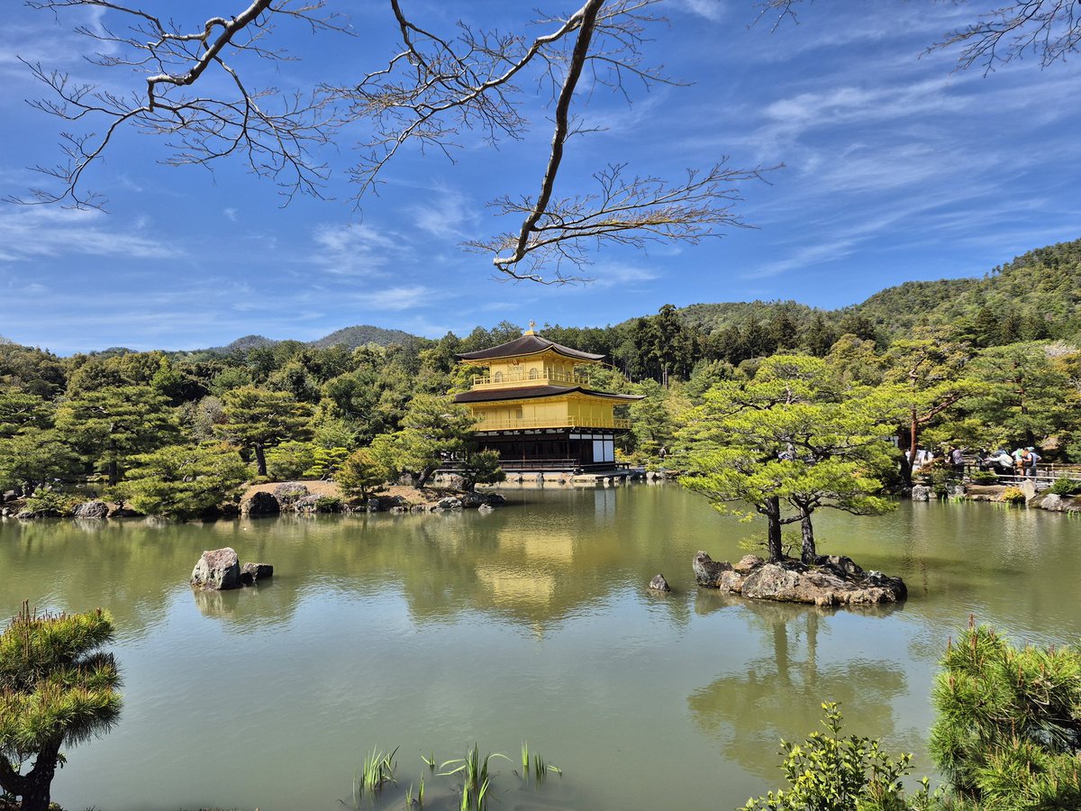 Hi_math_28's tweet photo. 京都旅行Day1
鹿苑寺など https://t.co/T3YURhGnYS