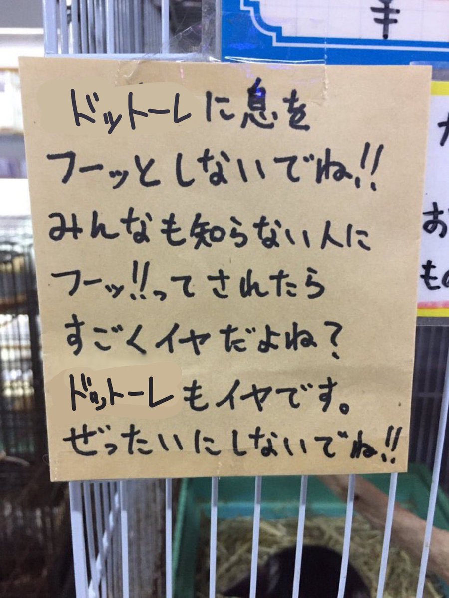 𝑺𝑯𝑨 tweet media