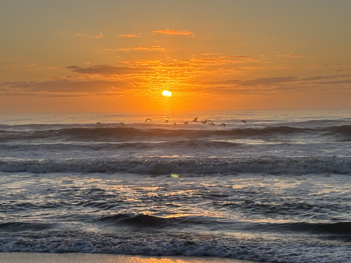 valkerie777's tweet image. Good morning from #Florida. I hope everyone had a spectacular Sunday☀️🌊#sunrise