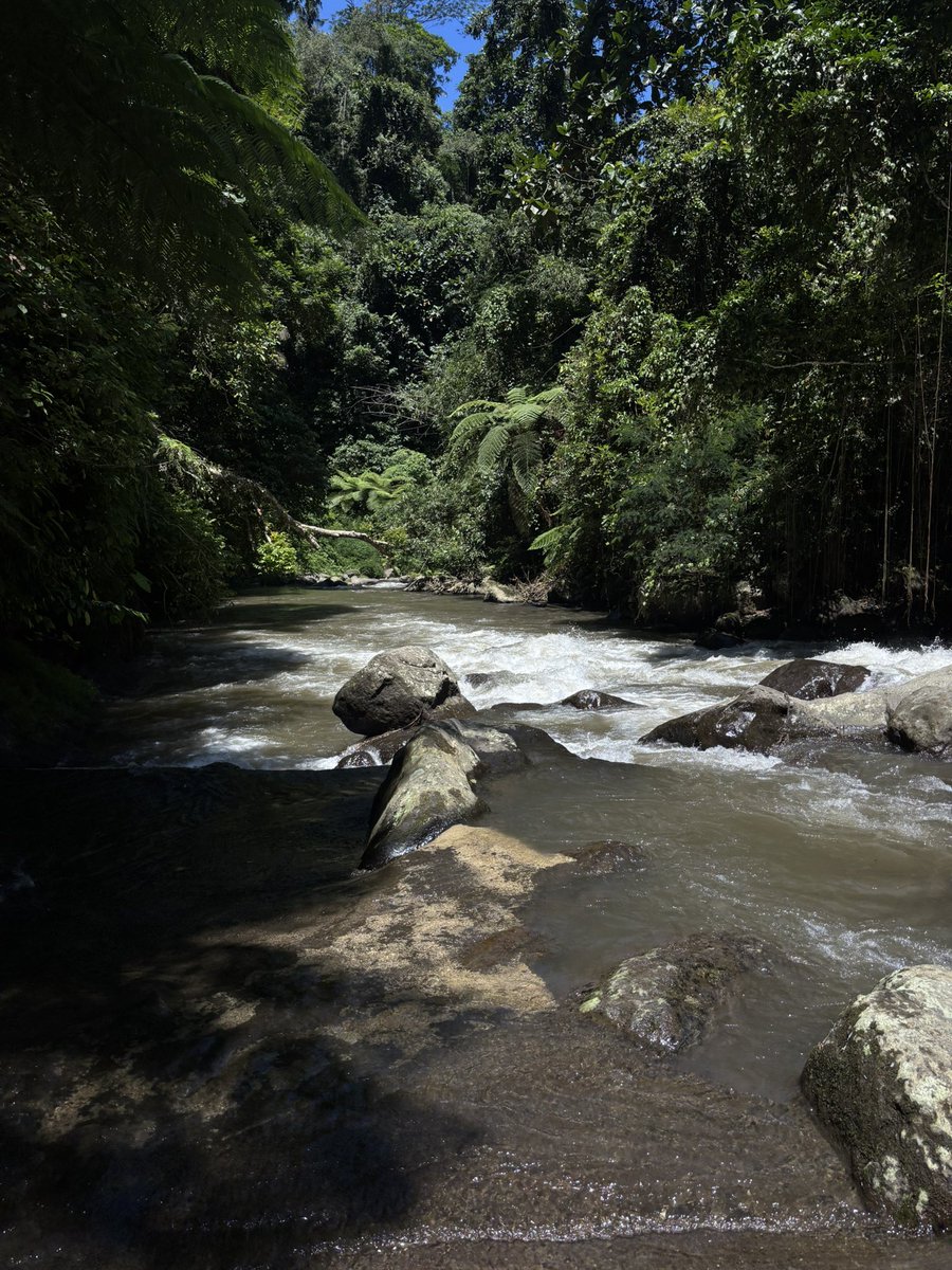 Paronic 🇱🇧🇵🇸 tweet media