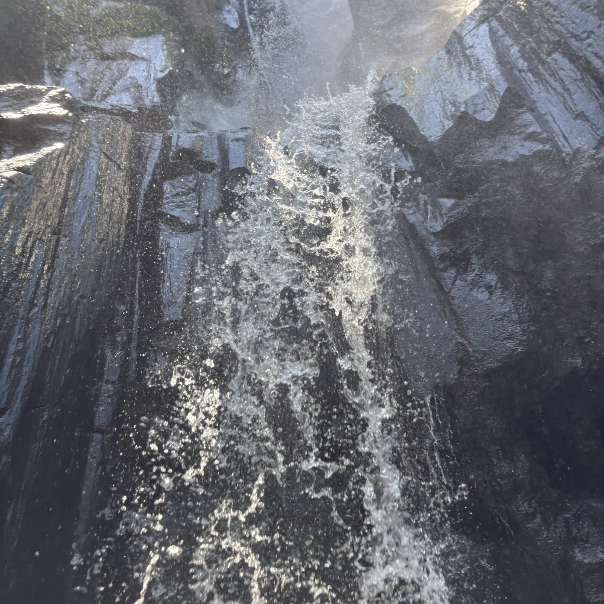 Paronic 🇱🇧🇵🇸 tweet media