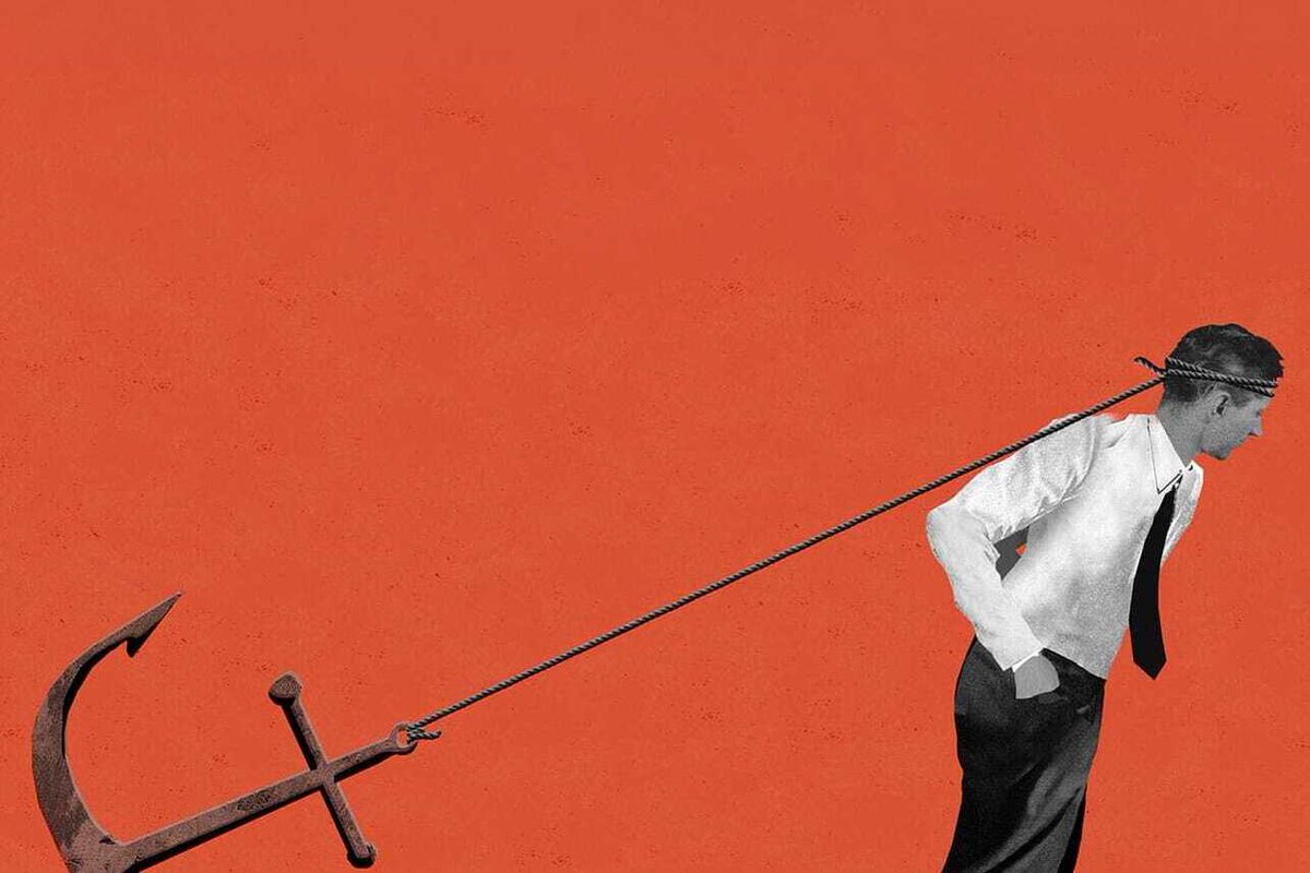 Manu de Carvalho tweet media