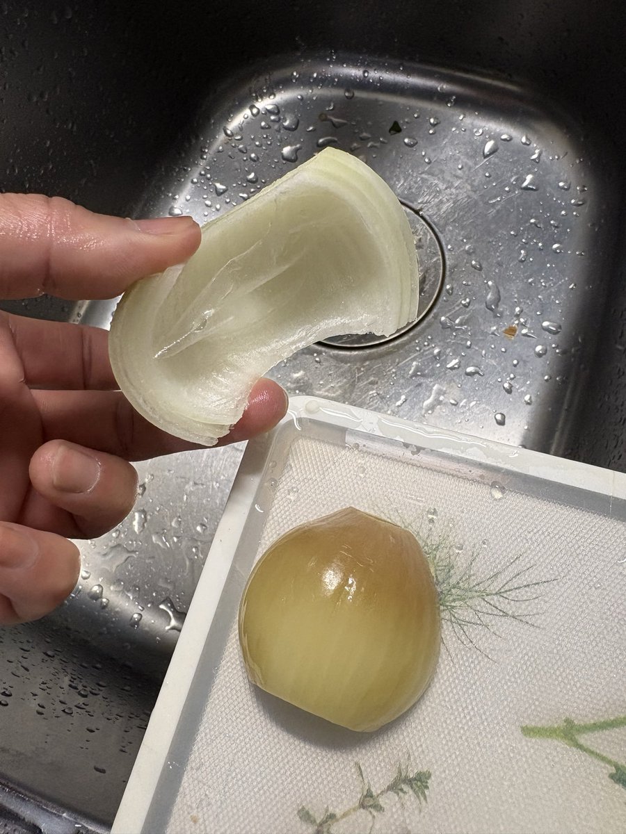 ホーリー tweet media