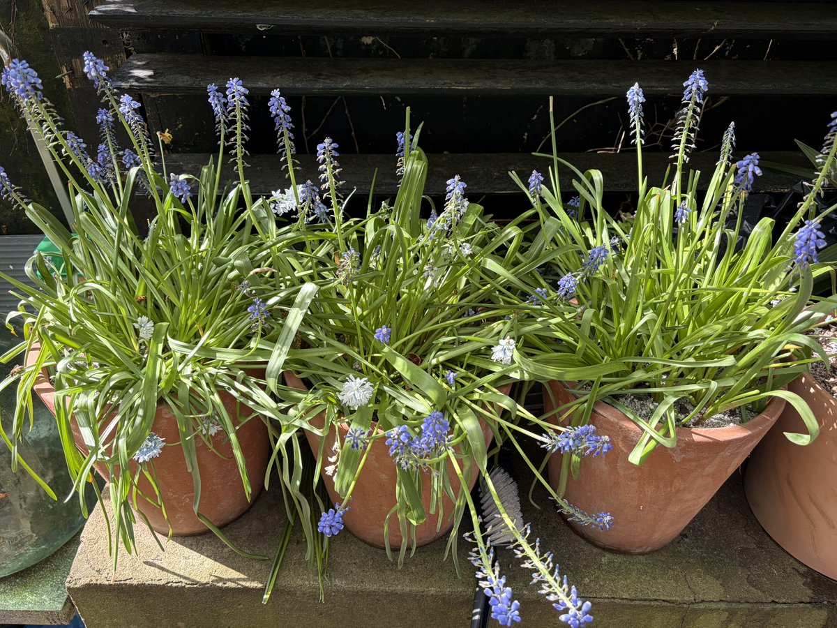 Jenny Eclair tweet media