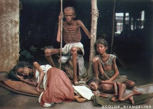 ZuttHero tweet media