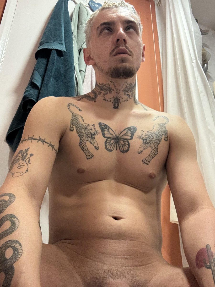 Daniel Ocean tweet media