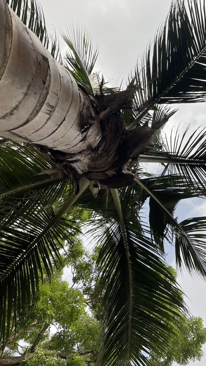 Oats | Logo and Brand Designer tweet media