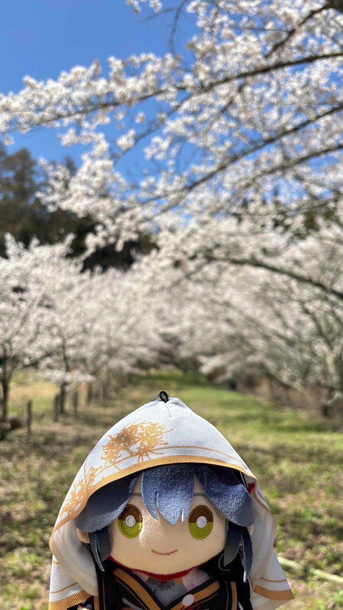 山神カルタ🎴 tweet media