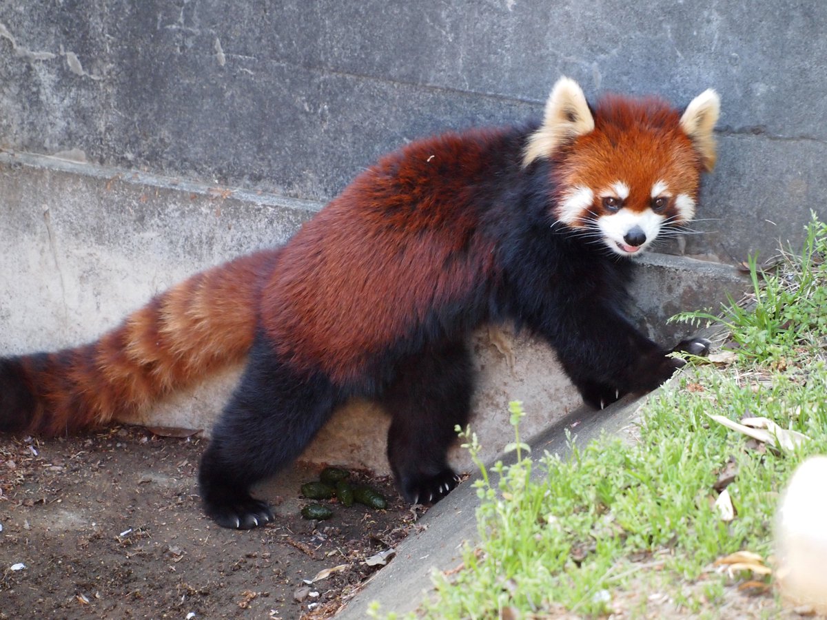 Mayuko782 tweet media