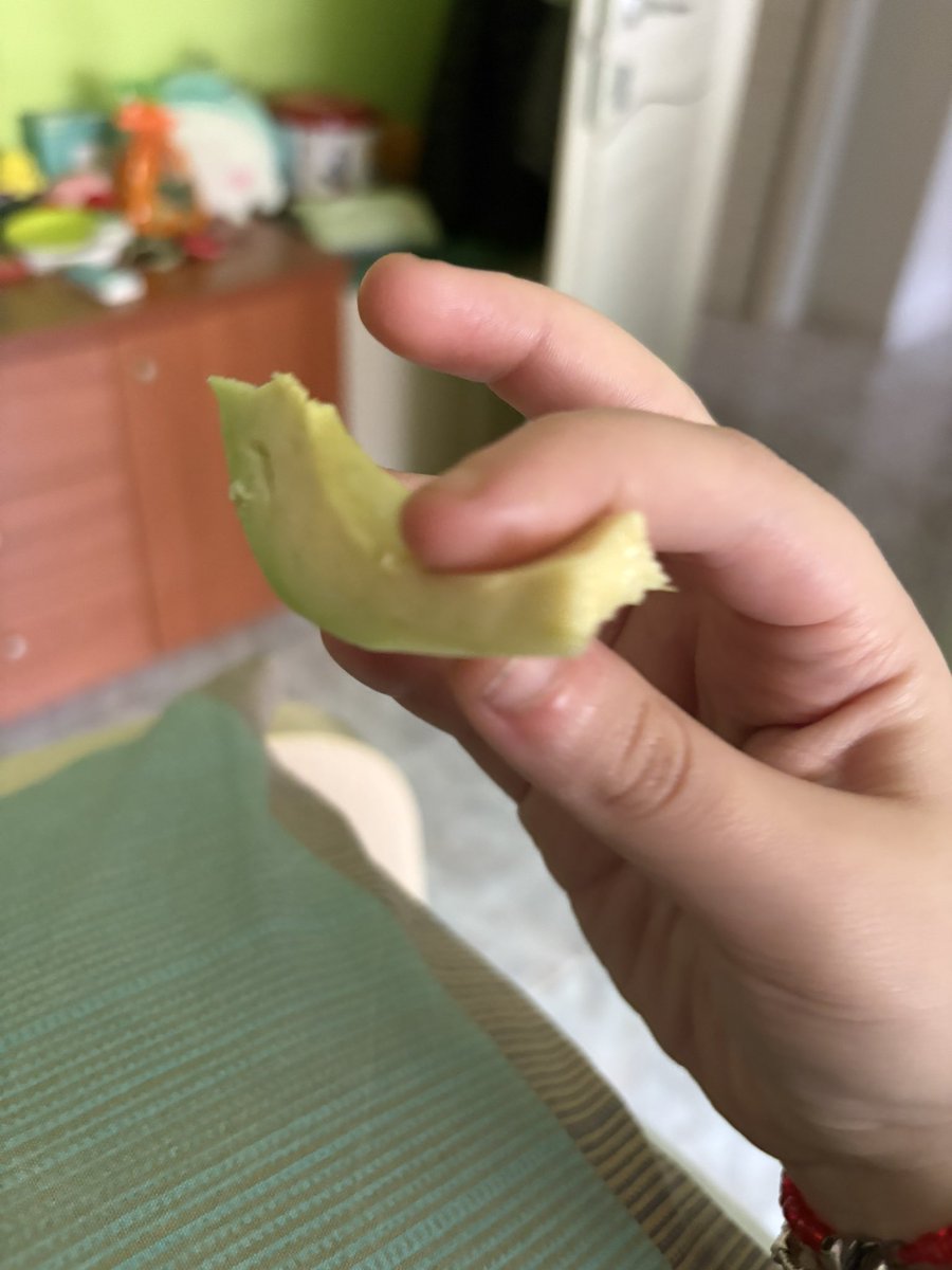 rex 🦭(2,3/15kg) tweet media