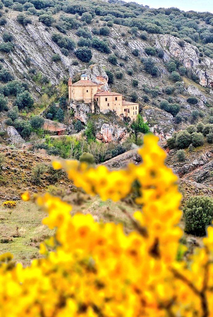 SoriaPatrimonio tweet media