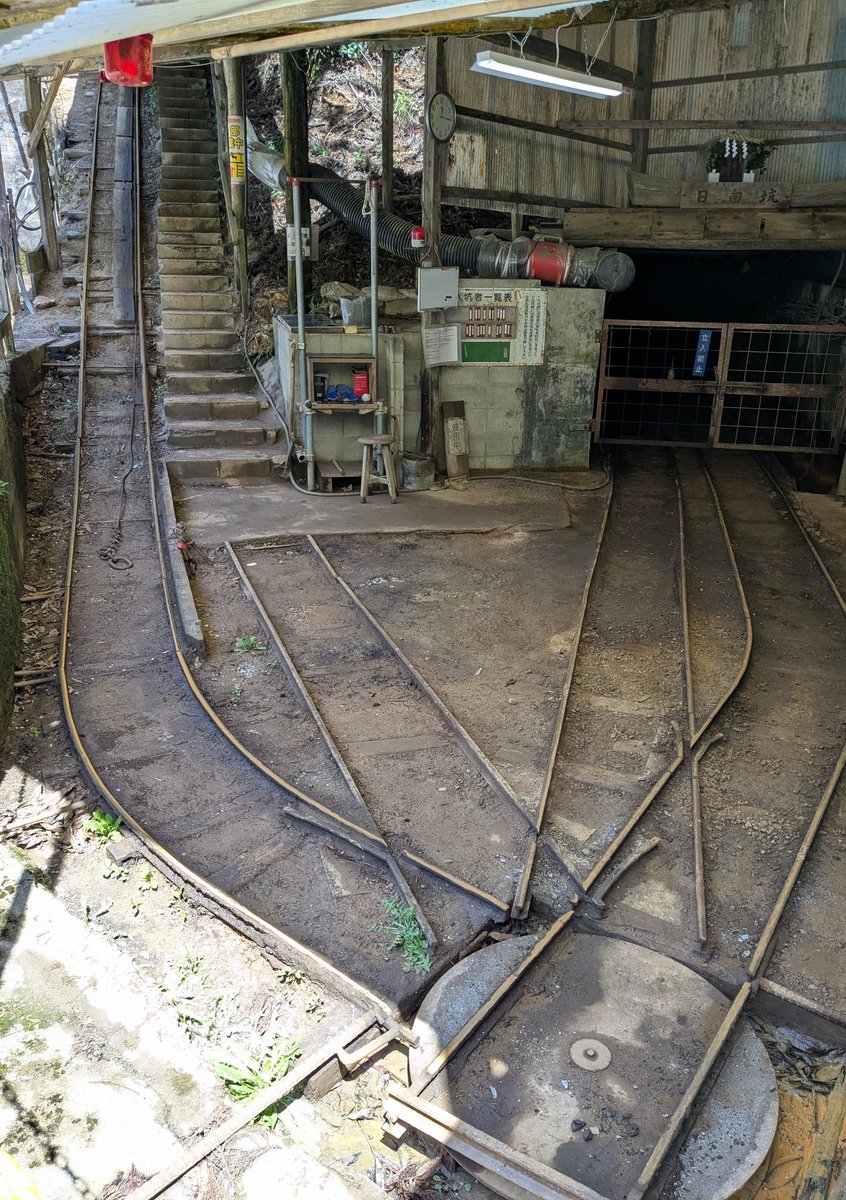 湘南ペンギン tweet media