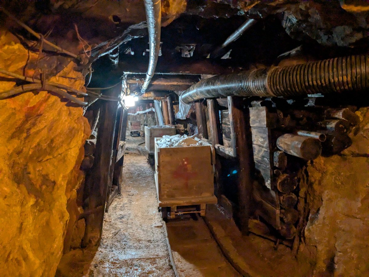 湘南ペンギン tweet media