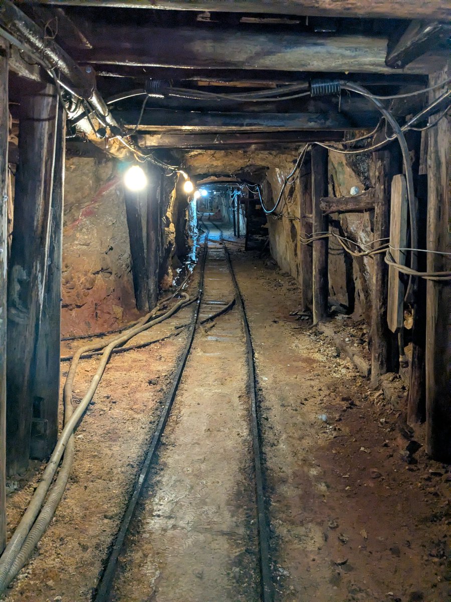 湘南ペンギン tweet media