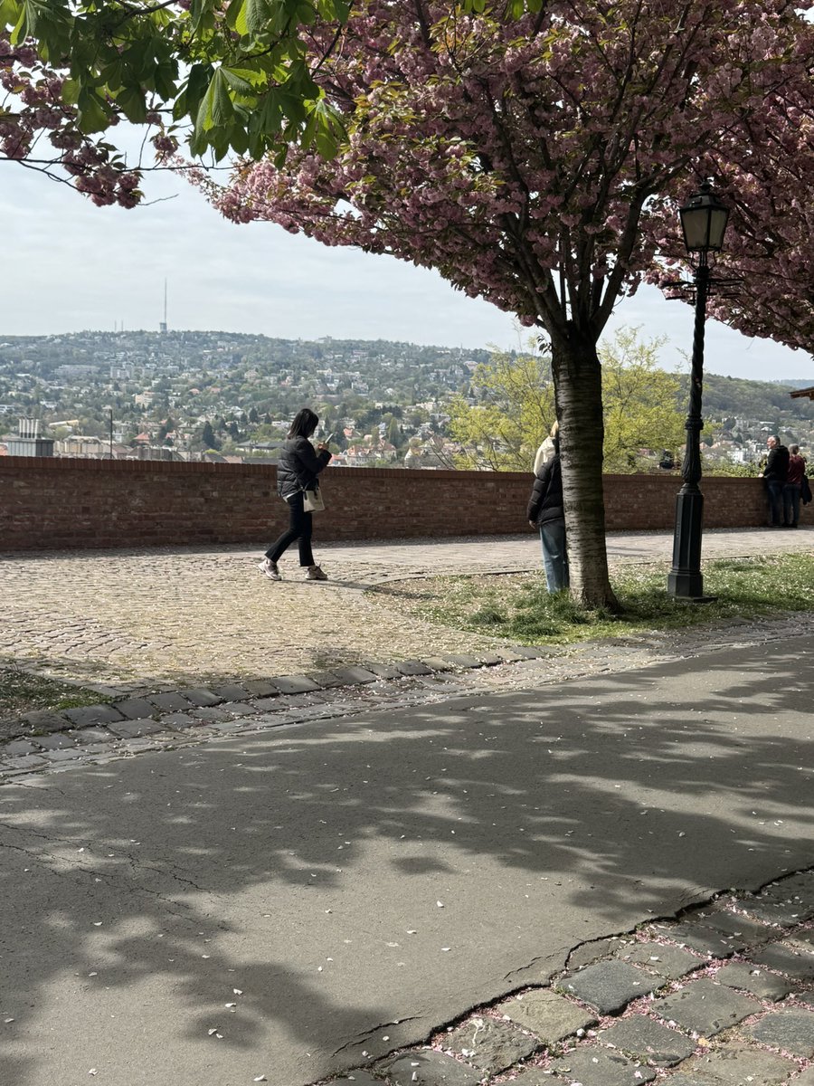 Tatjana Ohm tweet media