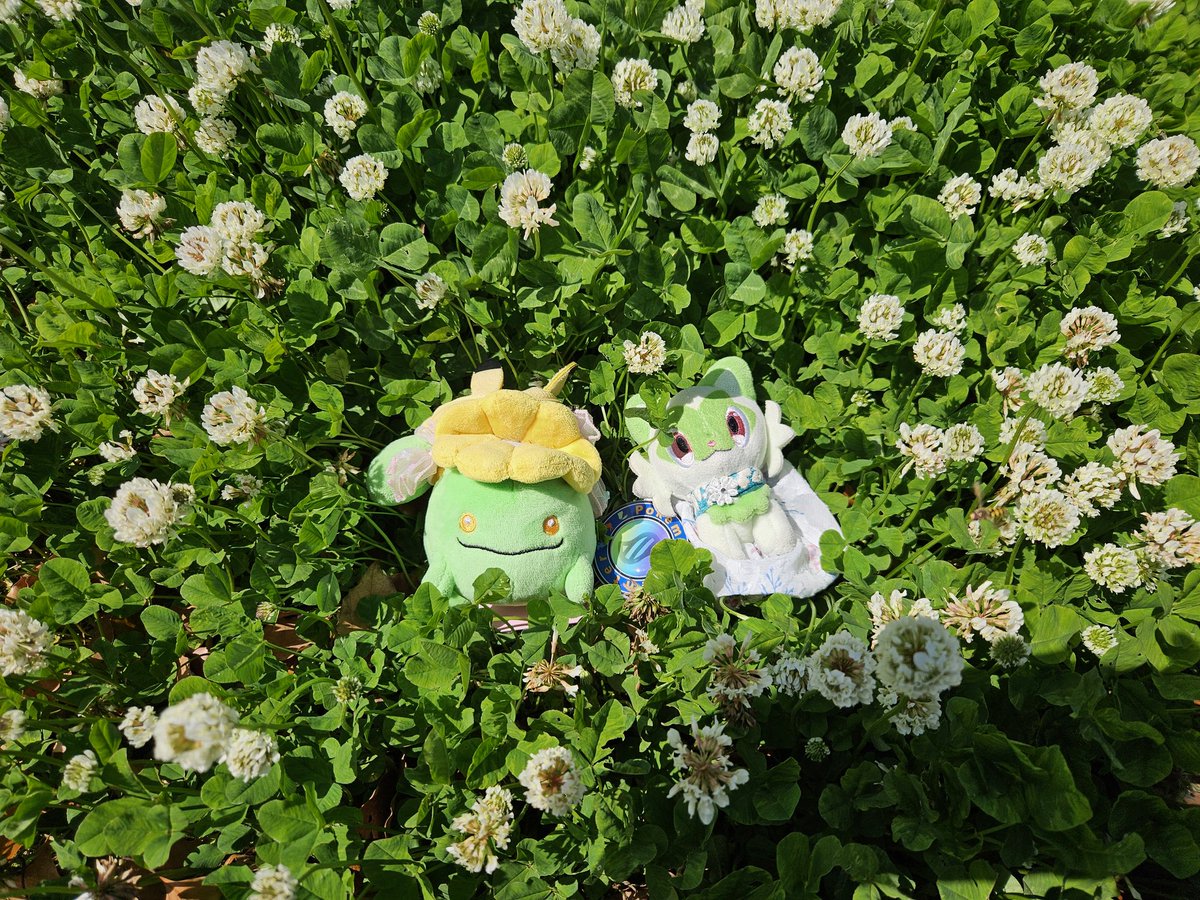 sumika. 4/5『アニマーレ』sumika.の棲み家【C-21＆22】 tweet media