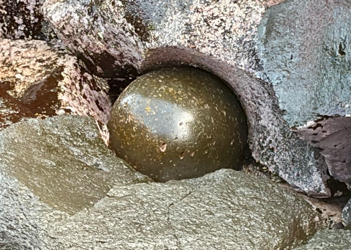 アクアライフ山田 tweet media