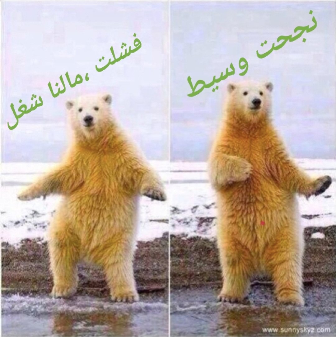 3freeet_77 tweet media