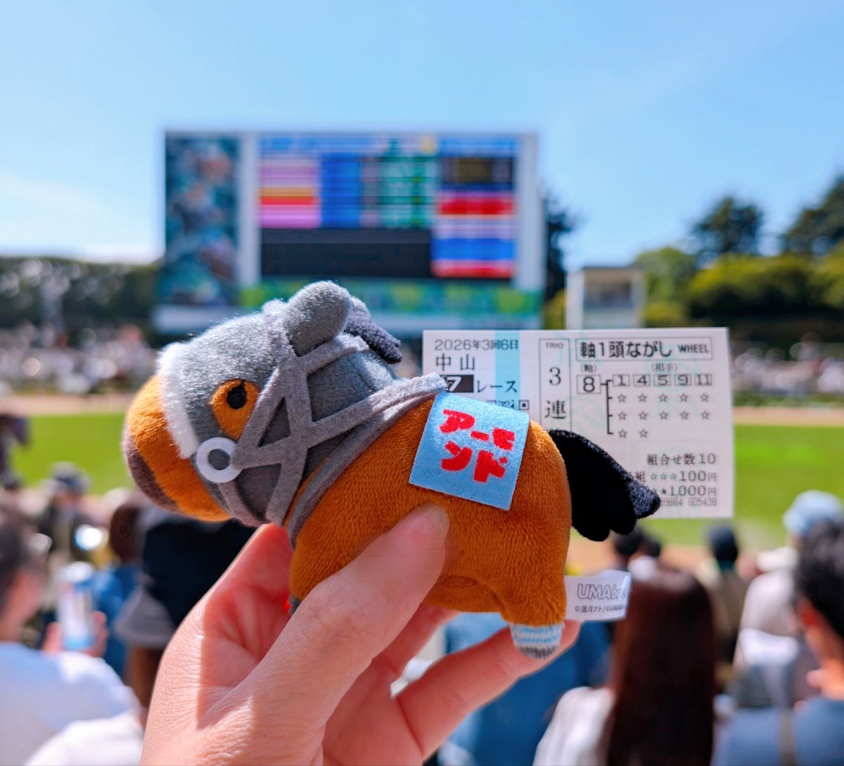 くまいさん。 tweet media