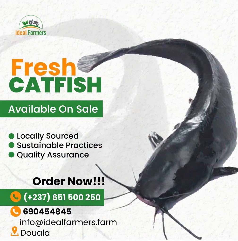 Farmer in Tech ./Excelsior/ tweet media