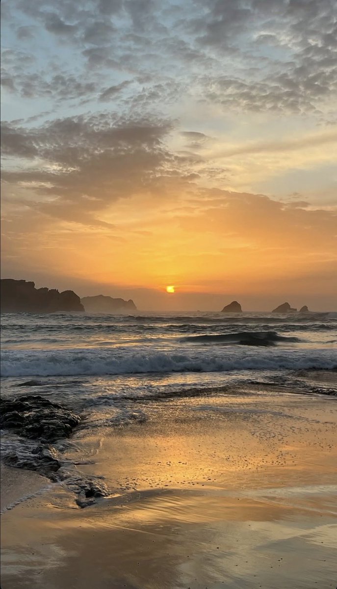 umberto brajkovic 🇸🇪🇭🇷🇪🇸🇩🇪 🇮🇹 tweet media