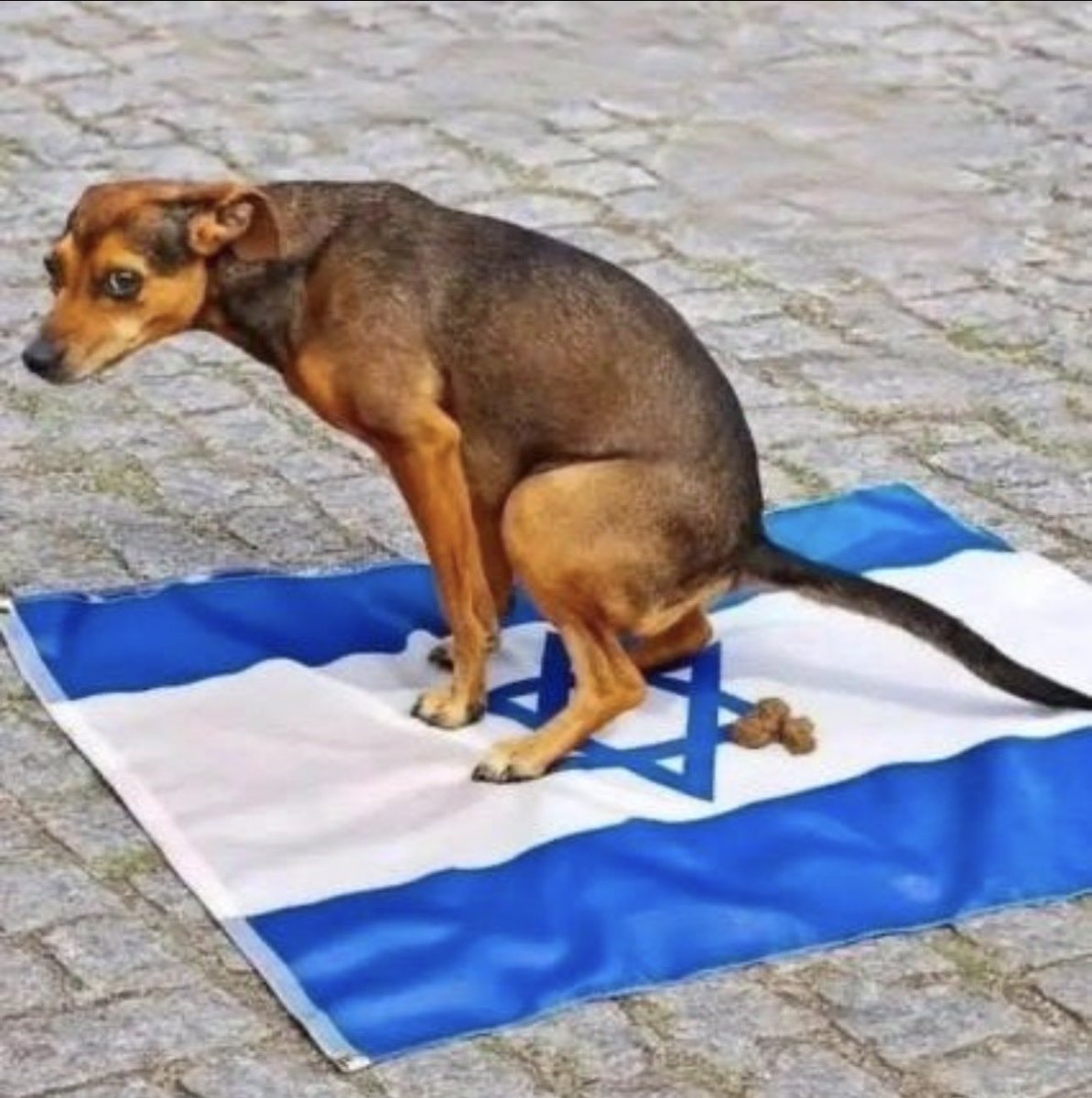 Ferit Yıldırım tweet media