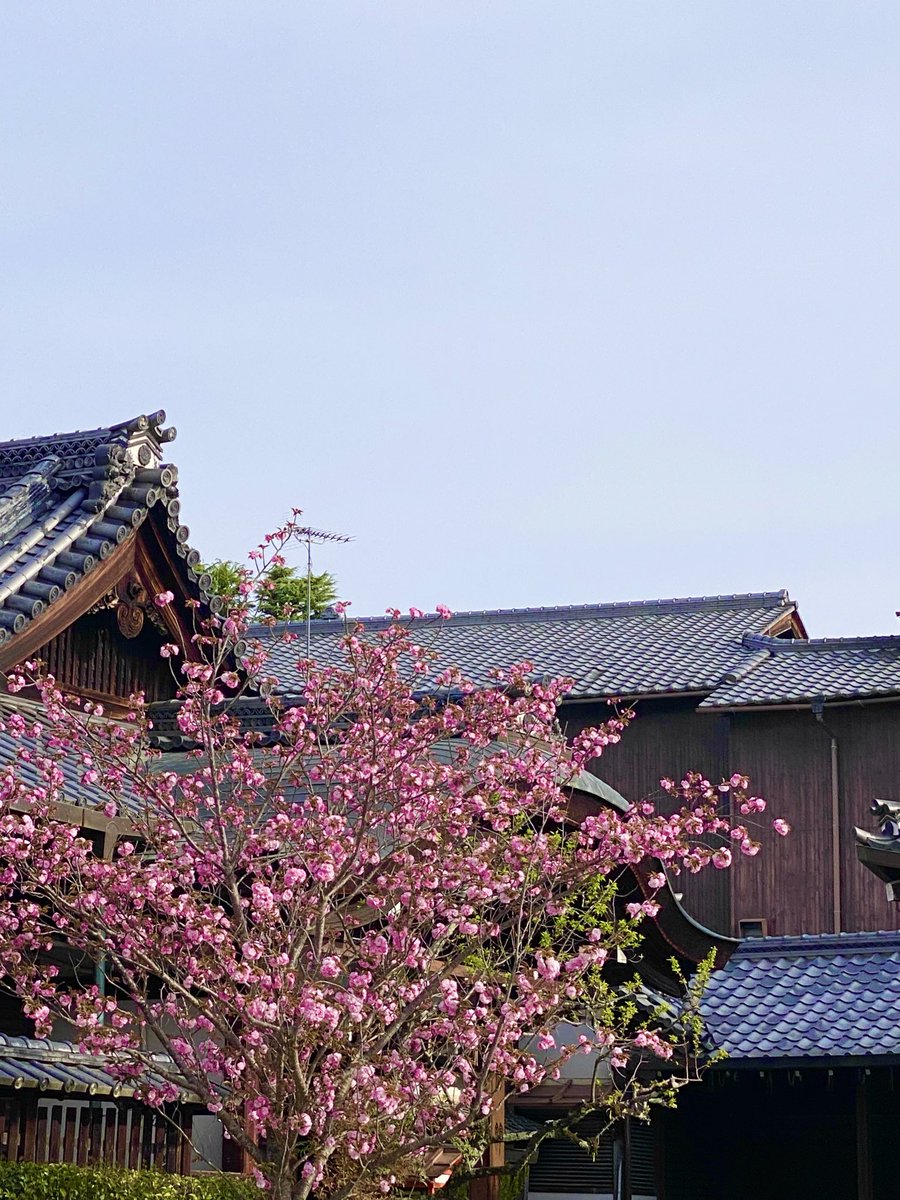 しりぼっち tweet media